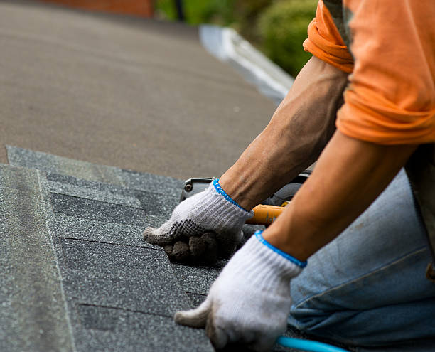 Best Roof Repair Services  in Godfrey, IL
